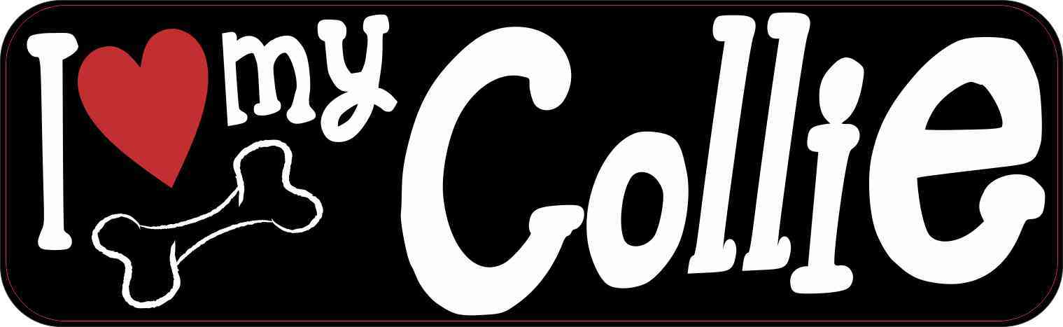 collie