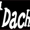 dachshund