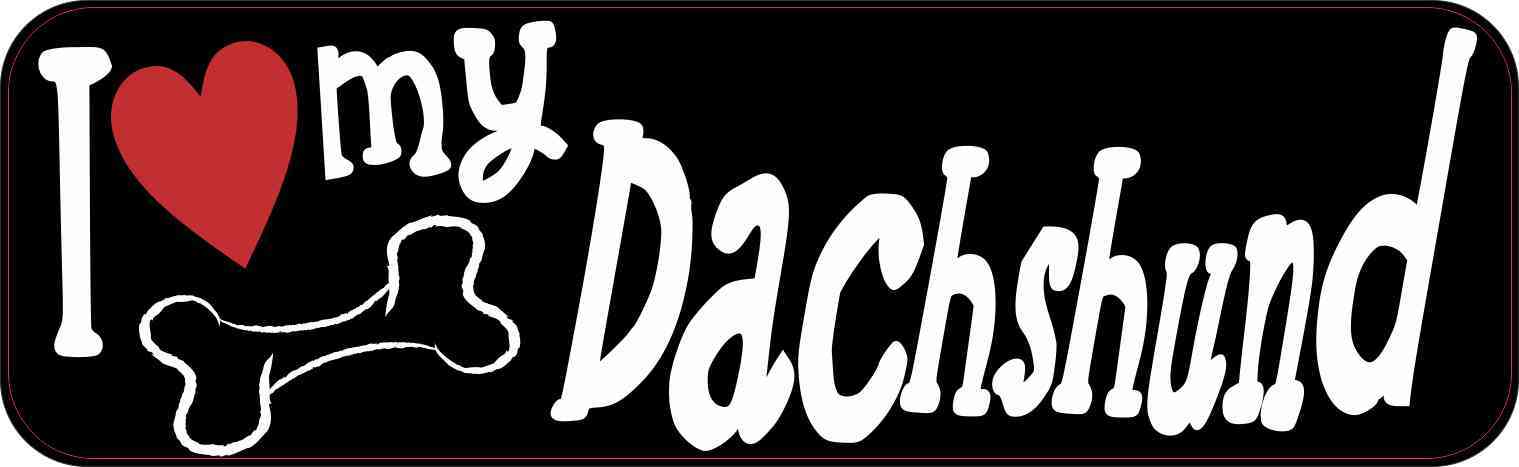 dachshund