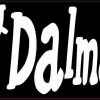 I Love My Dalmatian Bumper Sticker