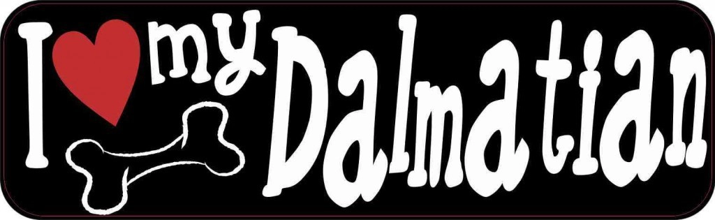 I Love My Dalmatian Bumper Sticker