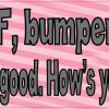 bumper humper sticker