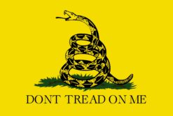 Gadsden flag decal