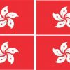 Hong Kong Flag Bumper Sticker