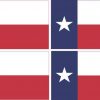 Texas flag bumper sticker
