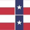 Texas flag bumper sticker