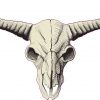 Buffalo Skull sticker