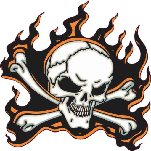 orange flame skull bumper sticker
