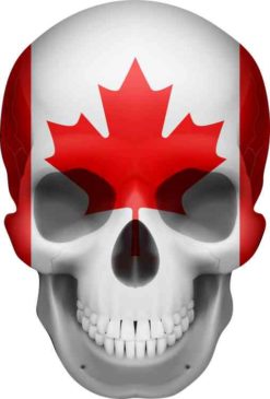 Canadian Flag skull bumper sticker