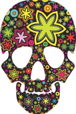 floral skull bumper sticker