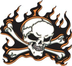 12in x 11in Orange Flame Skull Bumper Sticker Car Vinyl Truck Window Decal