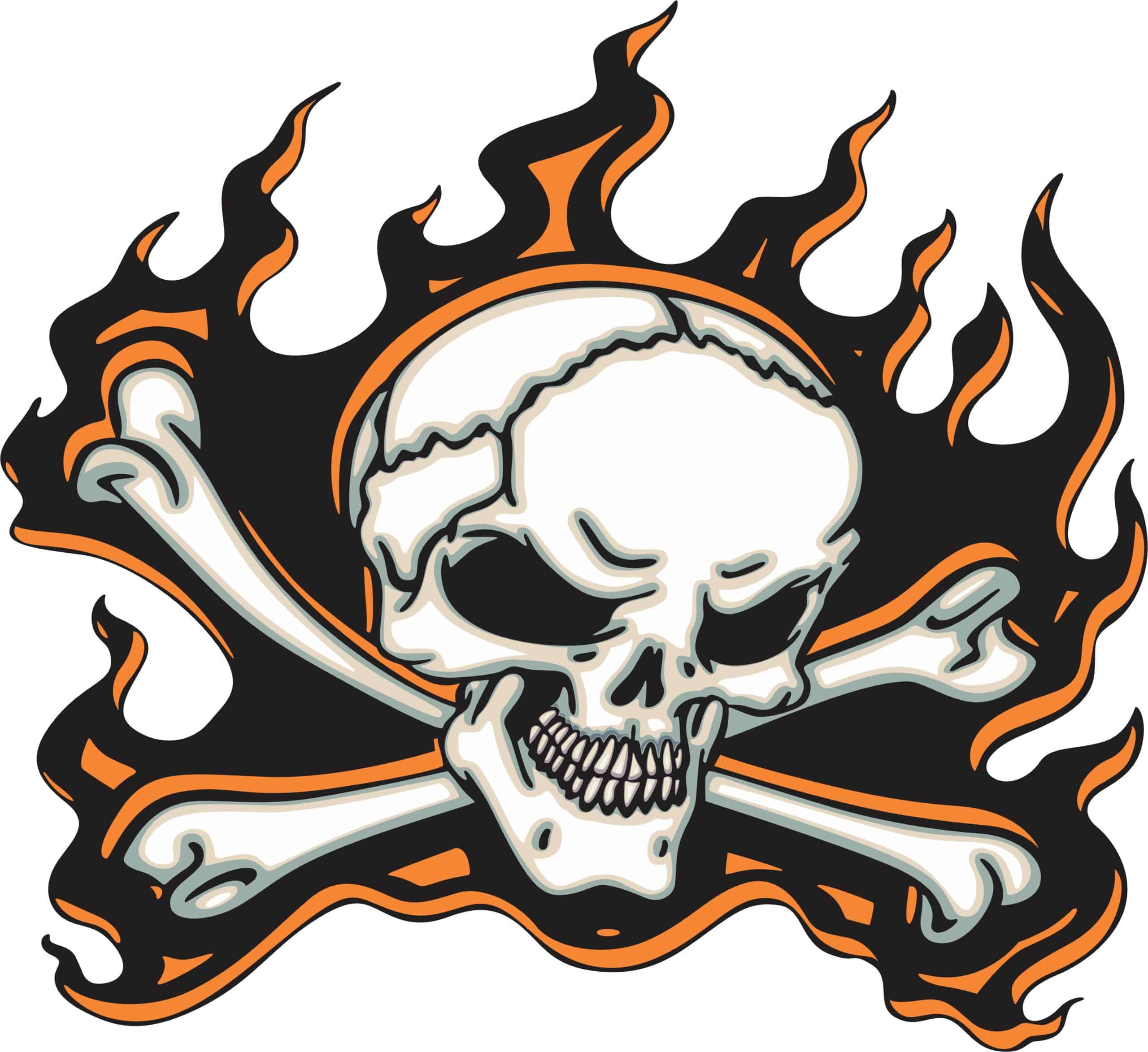 12in x 11in Orange Flame Skull Bumper Sticker Car Vinyl Truck Window Decal
