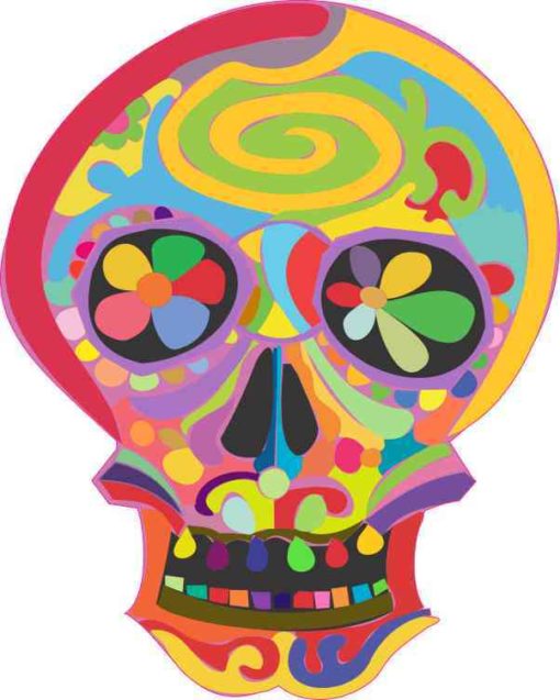 floral skull bumper sticker