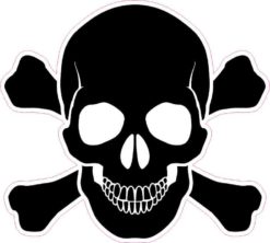 Black Skull and Crossbones bumper sticker