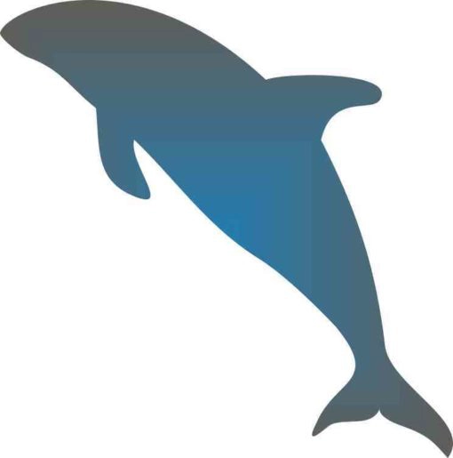 blue and gray dolphin bumper sticker