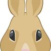 Rabbit Bumper Sticker
