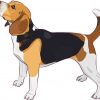 Beagle Bumper Sticker