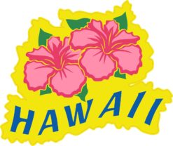 hawaii bumper sticker
