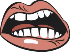 angry mouth bumper sticker