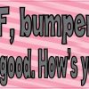 bumper humper