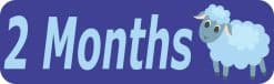 10in x 3in 2 Month Sticker Baby Boy First Year Vinyl Window Decal Stickers