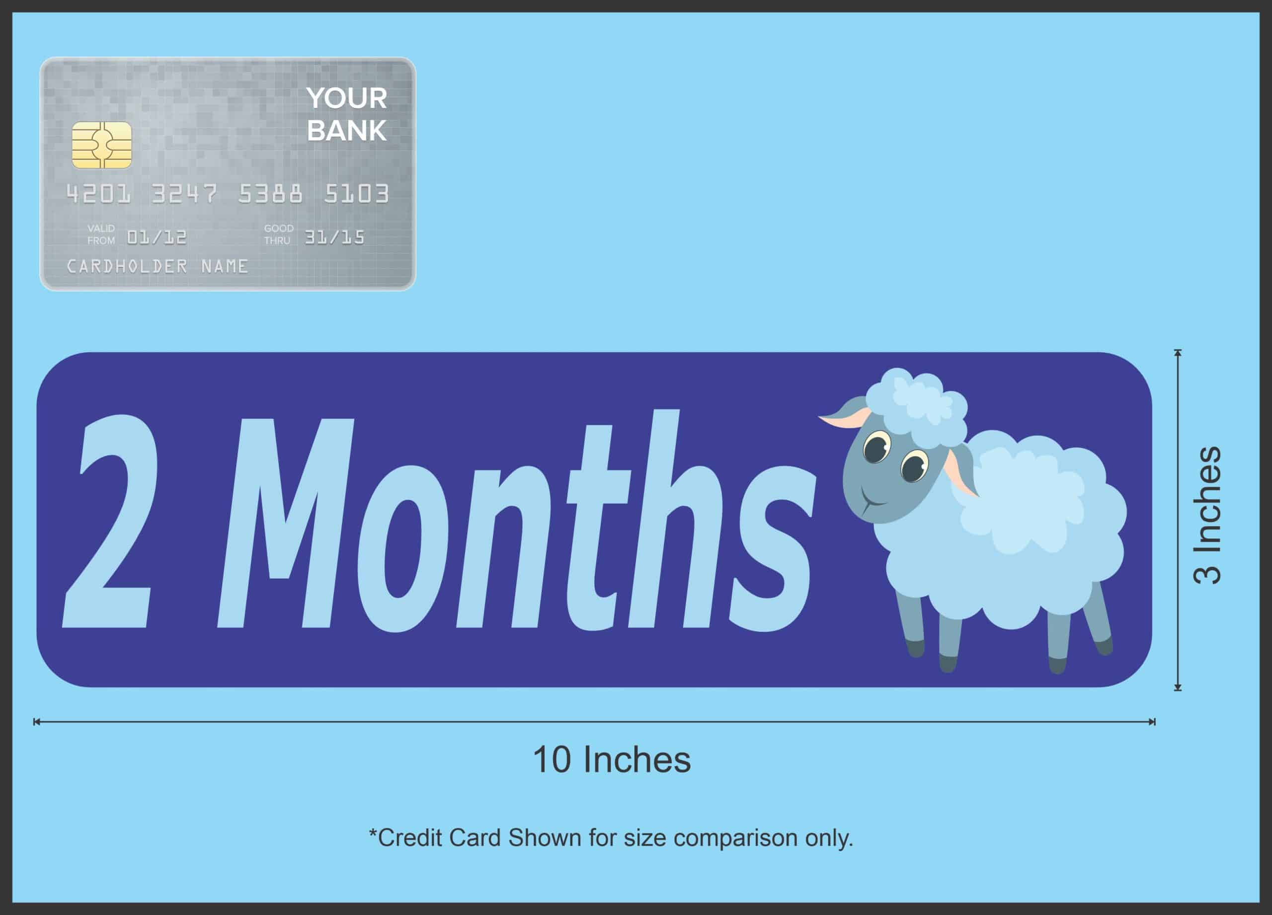 10in x 3in 2 Month Sticker Baby Boy First Year Vinyl Window Decal Stickers - Image 5
