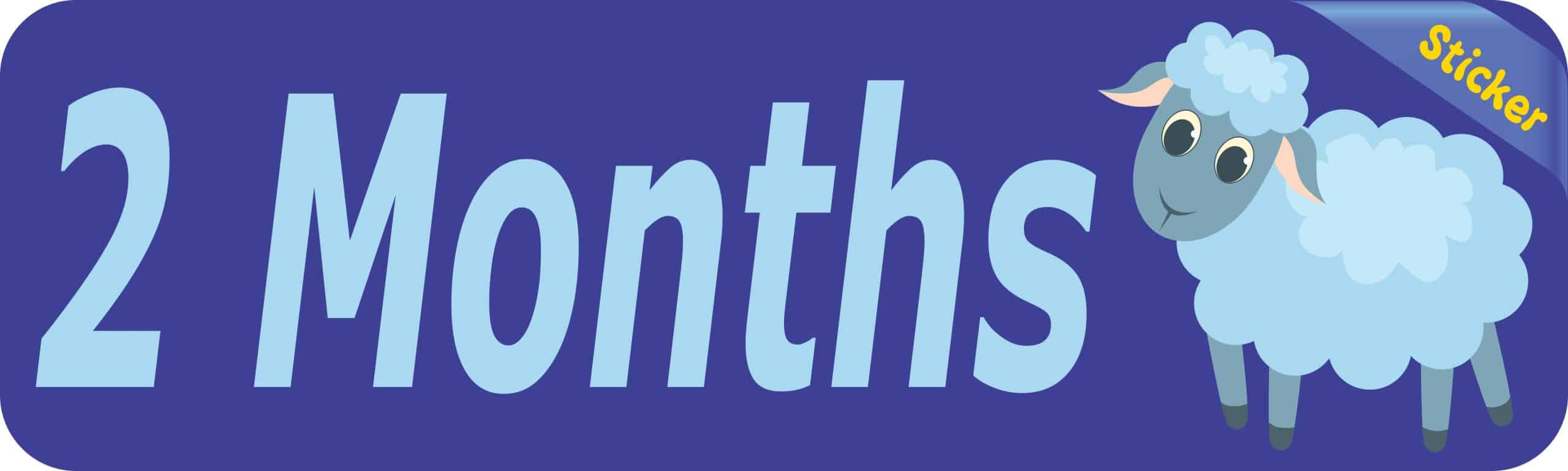 10in x 3in 2 Month Sticker Baby Boy First Year Vinyl Window Decal Stickers - Image 2