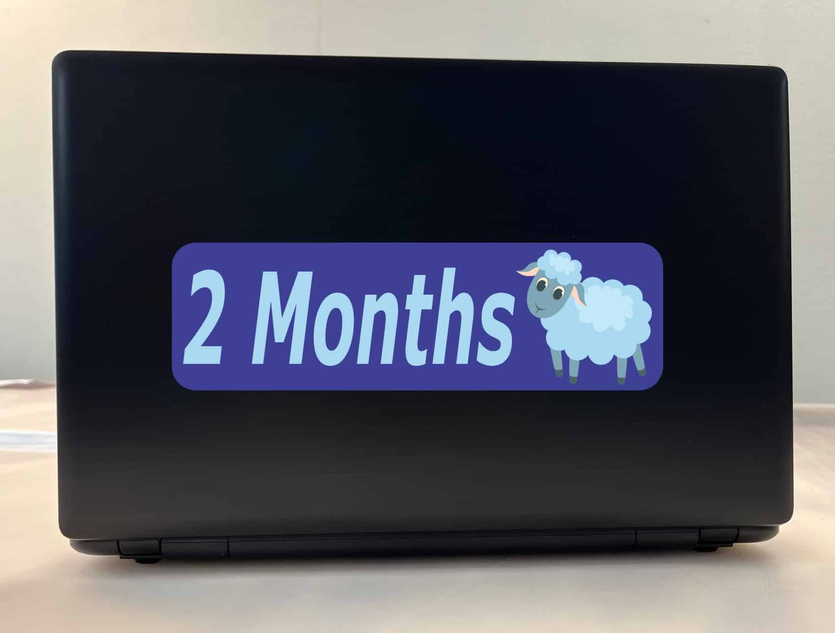 10in x 3in 2 Month Sticker Baby Boy First Year Vinyl Window Decal Stickers - Image 3