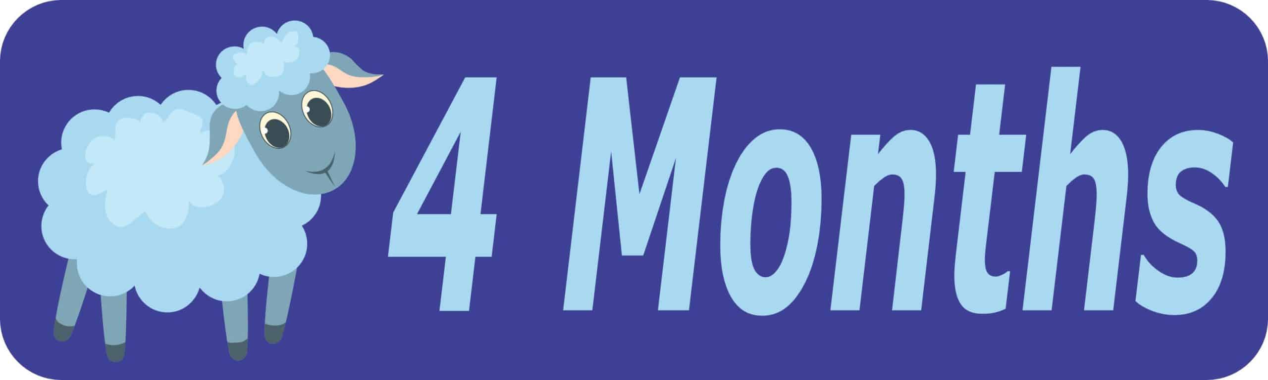 10in x 3in 4 Month Magnet Boy Door Magnetic Sign Magnets Signs