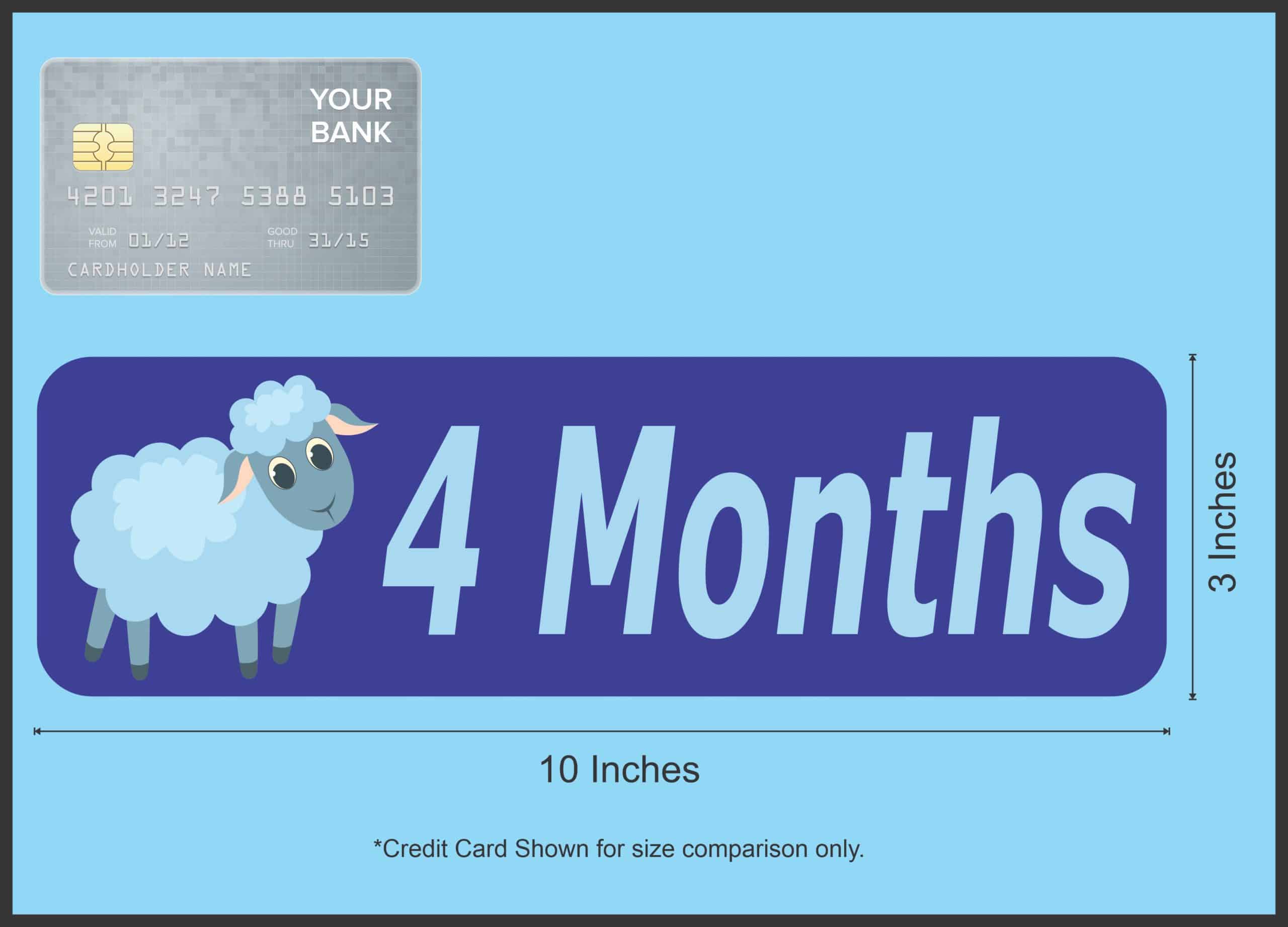 10in x 3in 4 Month Magnet Boy Door Magnetic Sign Magnets Signs - Image 3