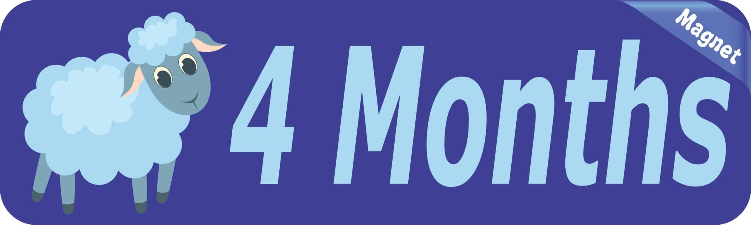 10in x 3in 4 Month Magnet Boy Door Magnetic Sign Magnets Signs - Image 2