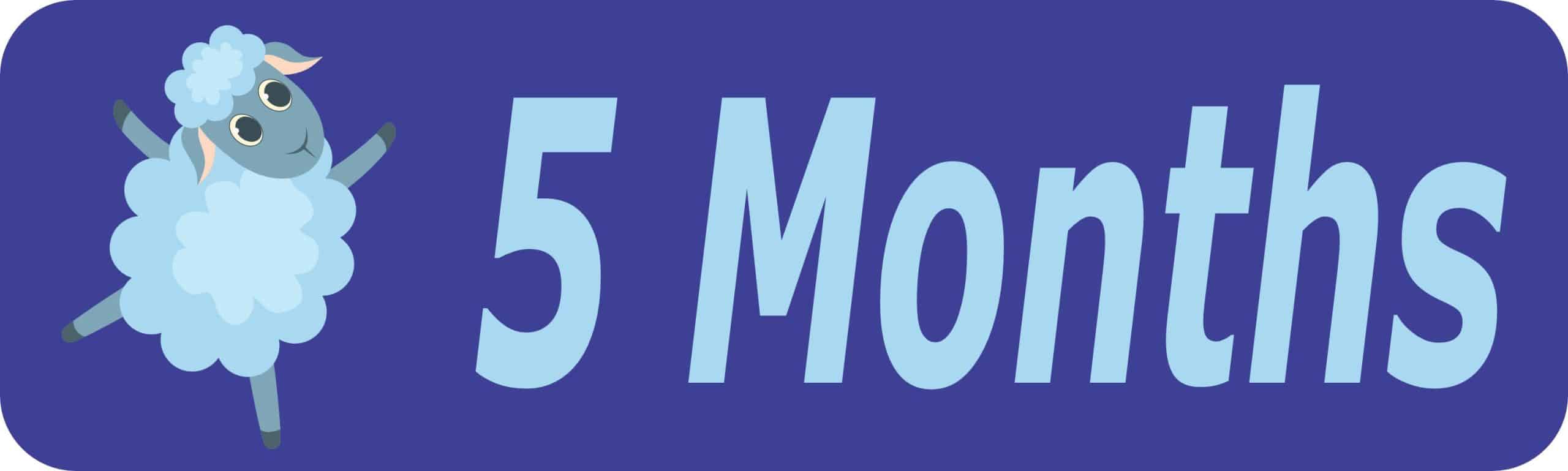 10in x 3in 5 Month Sticker Baby Boy First Year Vinyl Window Decal Stickers