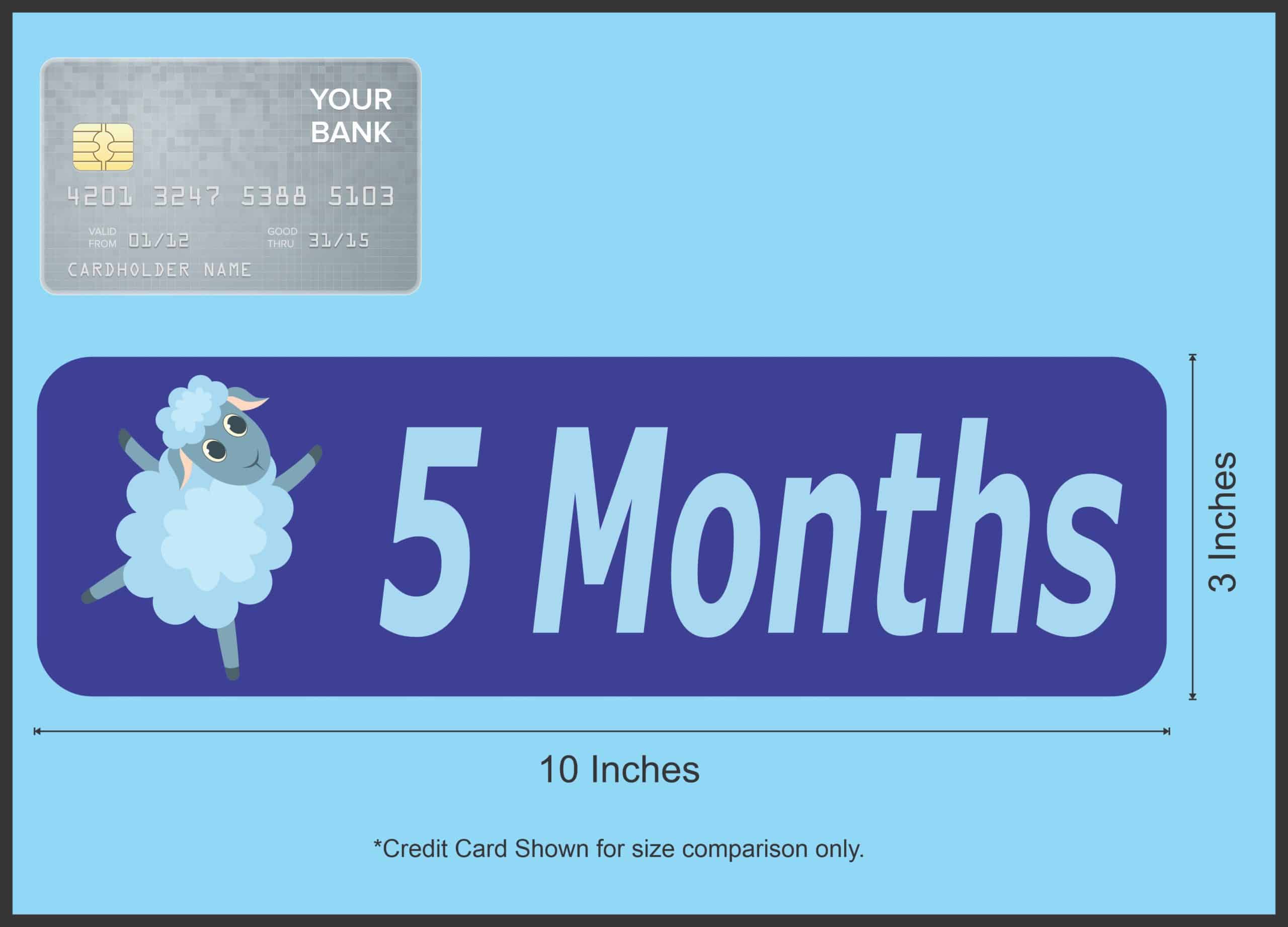 10in x 3in 5 Month Sticker Baby Boy First Year Vinyl Window Decal Stickers - Image 5