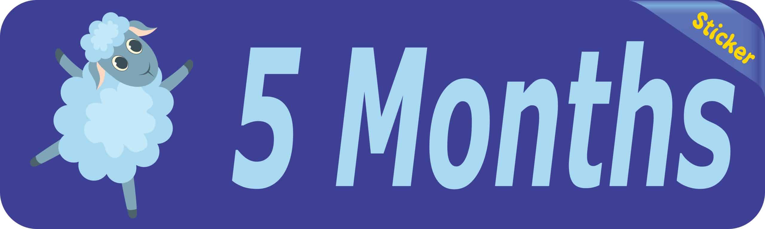 10in x 3in 5 Month Sticker Baby Boy First Year Vinyl Window Decal Stickers - Image 2