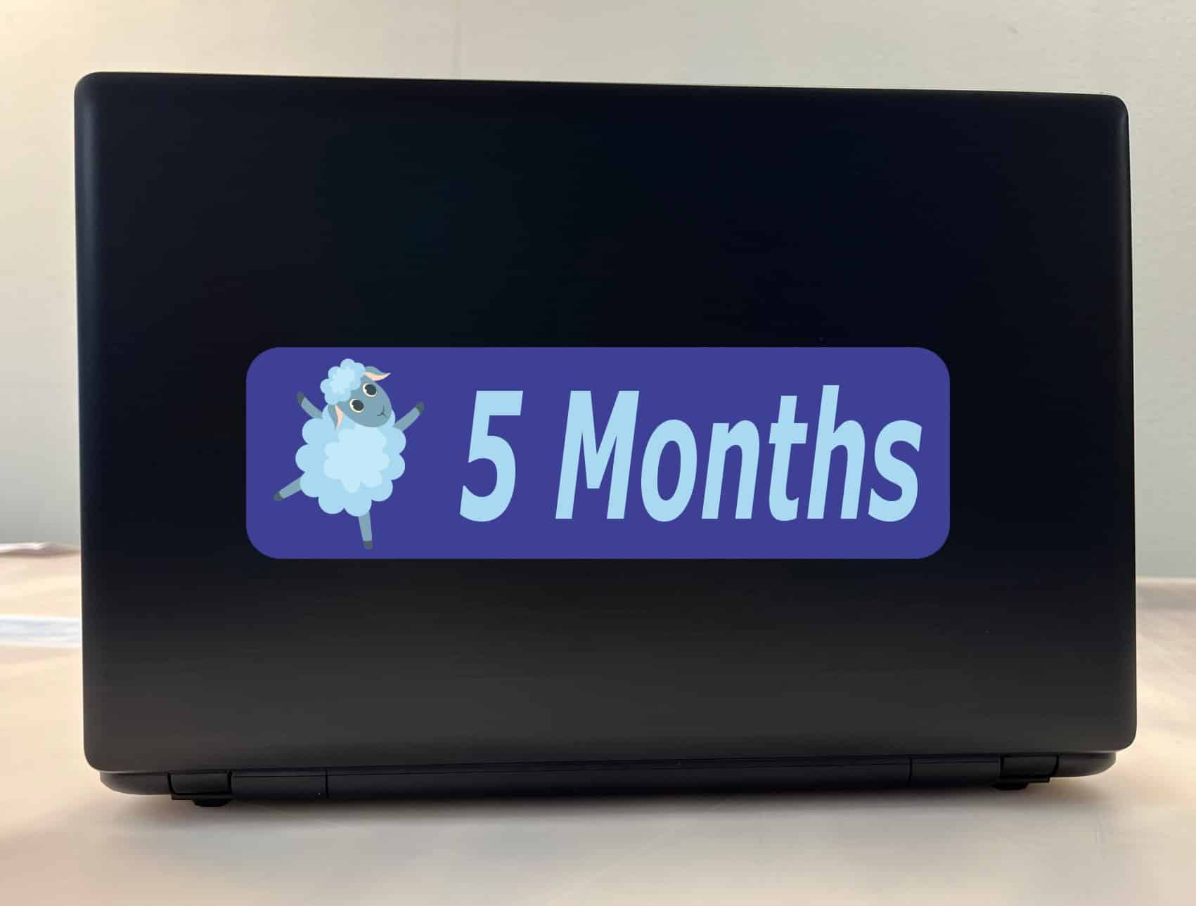 10in x 3in 5 Month Sticker Baby Boy First Year Vinyl Window Decal Stickers - Image 3