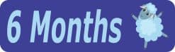 10in x 3in 6 Month Sticker Baby Boy First Year Vinyl Window Decal Stickers
