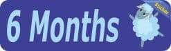 Alternative view of 10in x 3in 6 Month Sticker Baby Boy First Year Vinyl Window Decal Stickers
