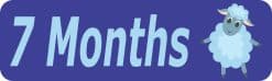 10in x 3in 7 Month Sticker Baby Boy First Year Vinyl Window Decal Stickers