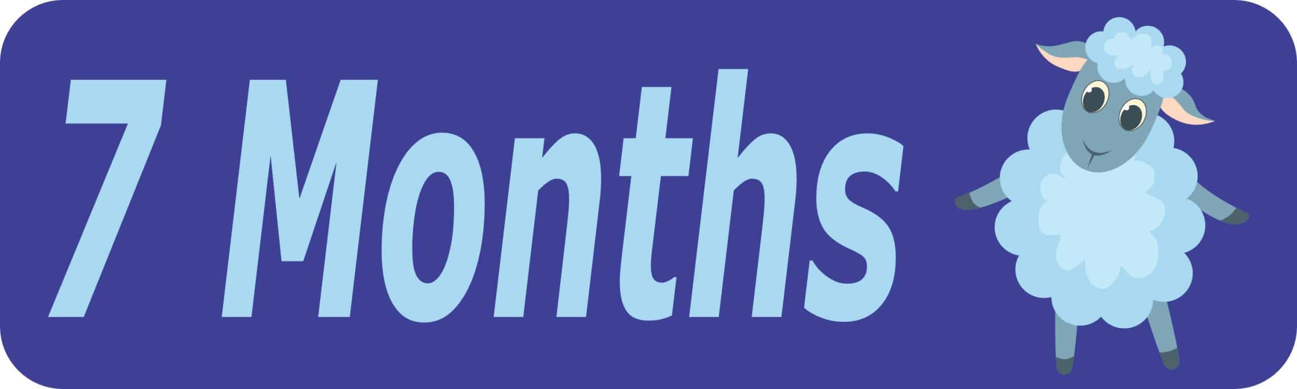 10in x 3in 7 Month Magnet Boy Door Magnetic Sign Magnets Signs