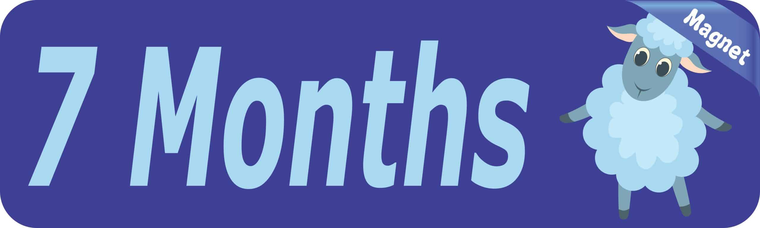 10in x 3in 7 Month Magnet Boy Door Magnetic Sign Magnets Signs - Image 2