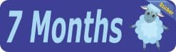 Alternative view of 10in x 3in 7 Month Sticker Baby Boy First Year Vinyl Window Decal Stickers
