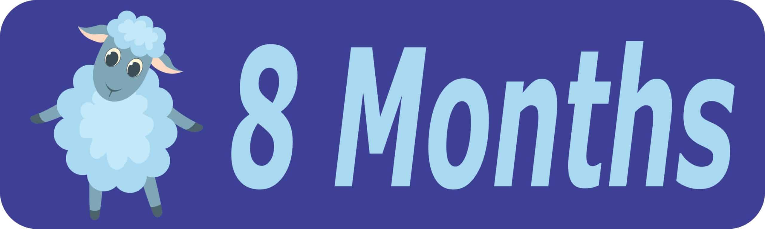 10in x 3in 8 Month Magnet Boy Door Magnetic Sign Magnets Signs
