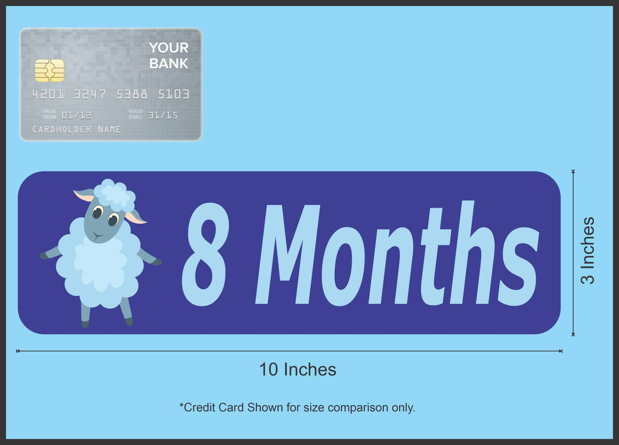 10in x 3in 8 Month Magnet Boy Door Magnetic Sign Magnets Signs - Image 3