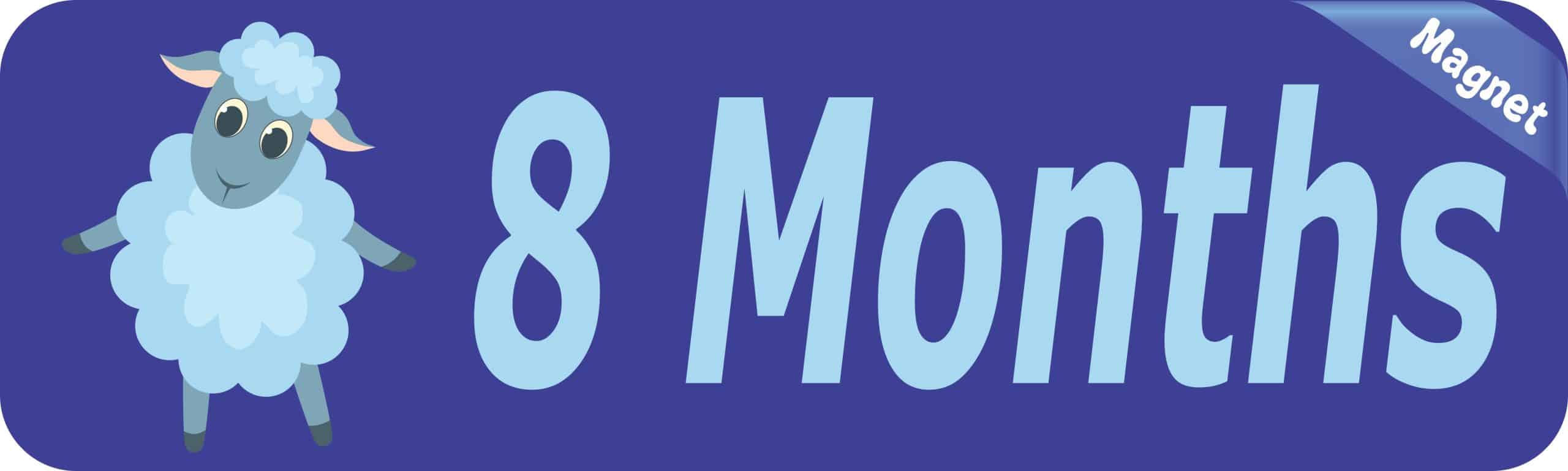 10in x 3in 8 Month Magnet Boy Door Magnetic Sign Magnets Signs - Image 2