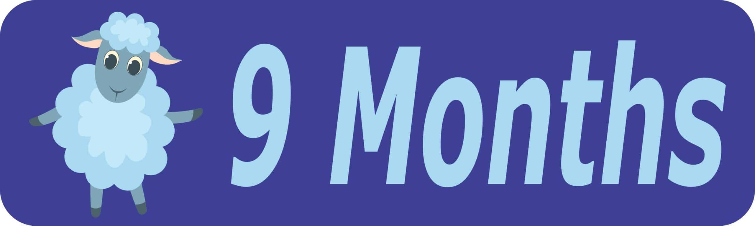 10in x 3in 9 Month Magnet Boy Door Magnetic Sign Magnets Signs