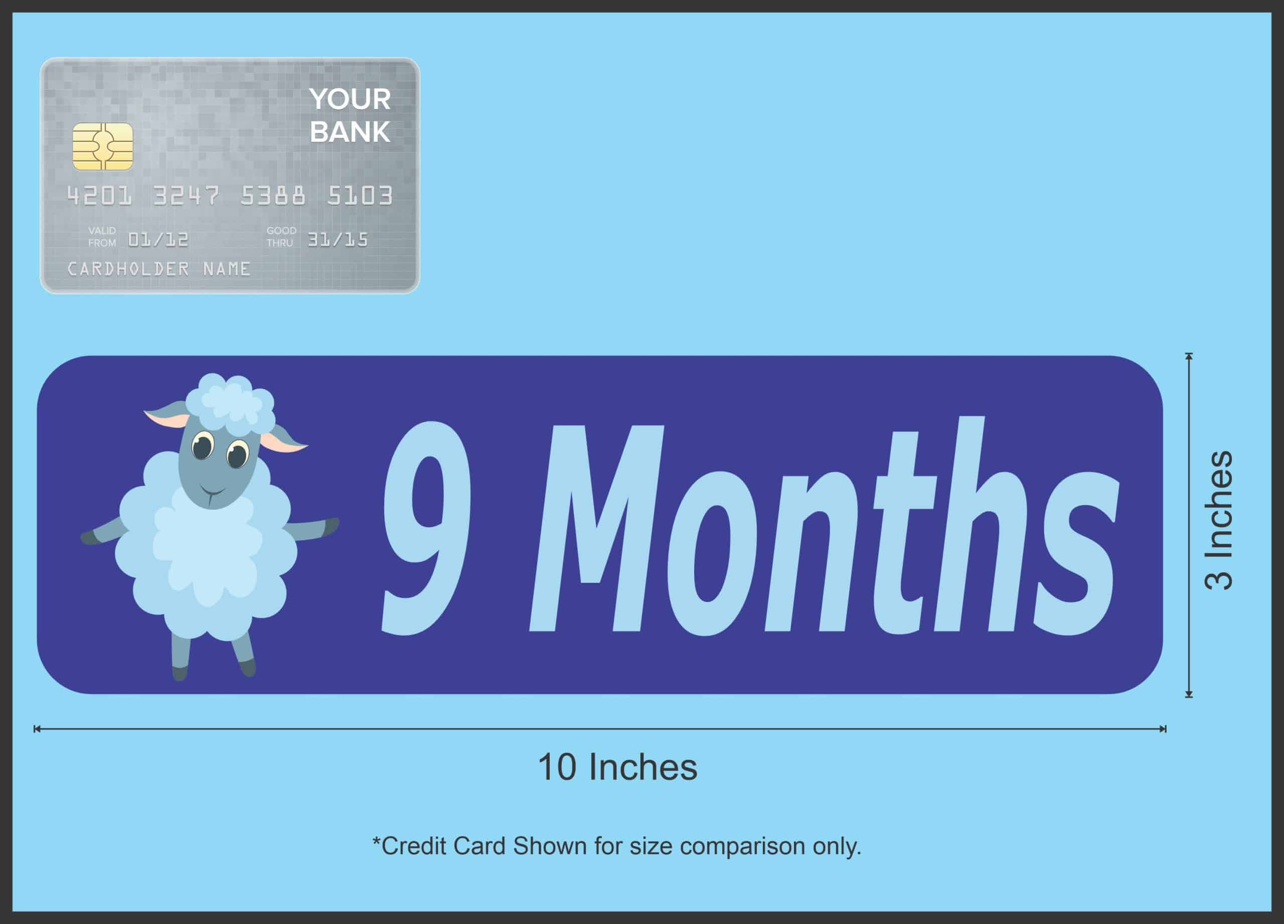 10in x 3in 9 Month Magnet Boy Door Magnetic Sign Magnets Signs - Image 3