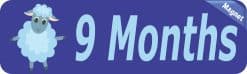 Alternative view of 10in x 3in 9 Month Magnet Boy Door Magnetic Sign Magnets Signs