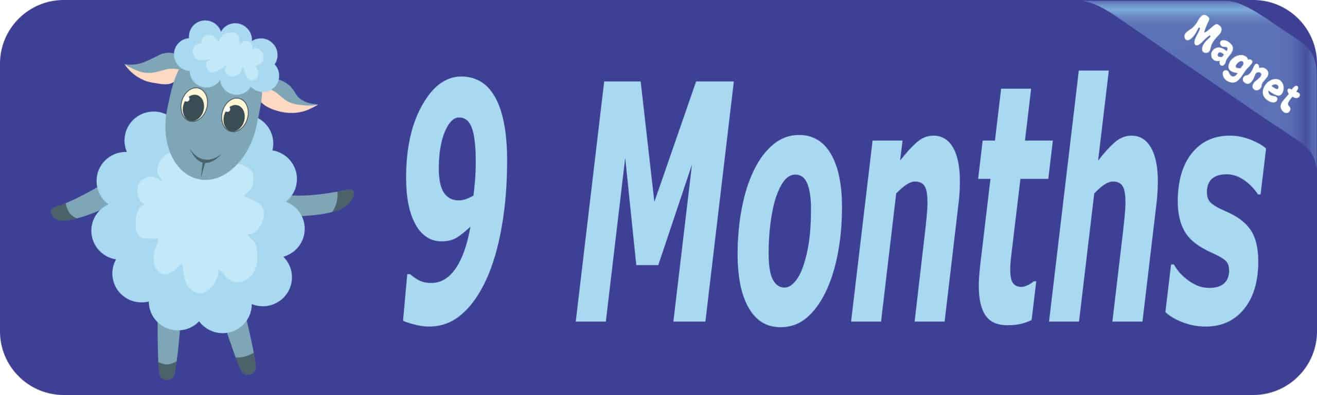 10in x 3in 9 Month Magnet Boy Door Magnetic Sign Magnets Signs - Image 2