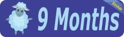 Alternative view of 10in x 3in 9 Month Sticker Baby Boy First Year Vinyl Window Decal Stickers