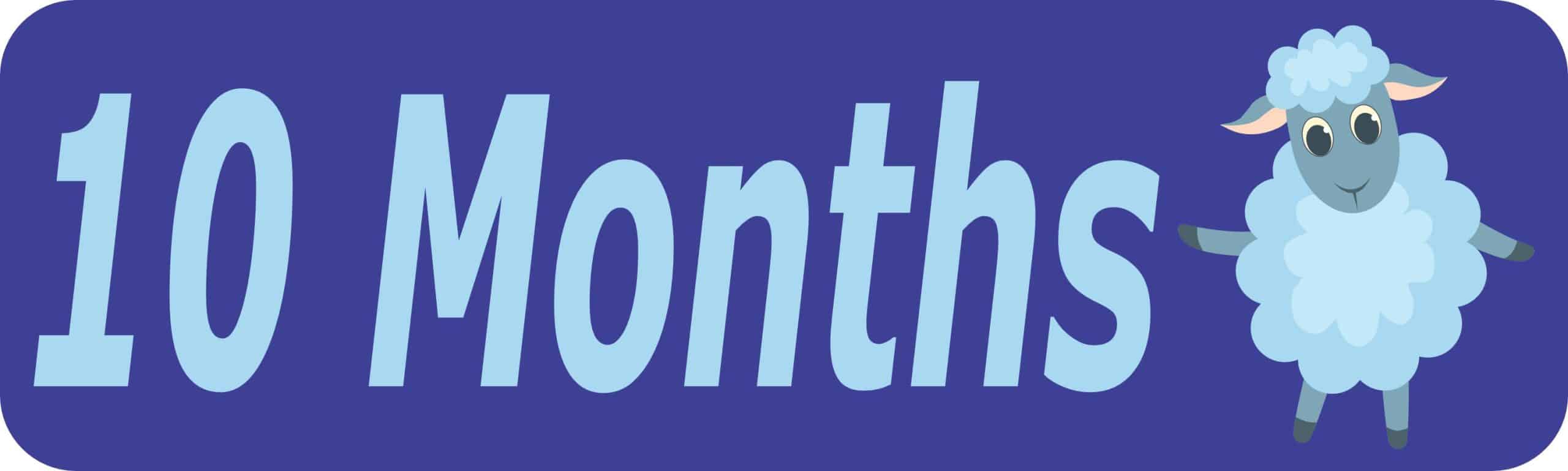 10in x 3in 10 Month Sticker Baby Boy First Year Vinyl Window Decal Stickers